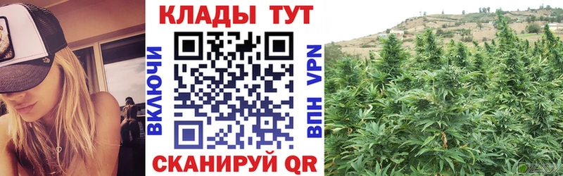 Как найти наркотики Барабинск Метадон  Псилоцибиновые грибы  Мефедрон  КОКАИН  Гашиш 