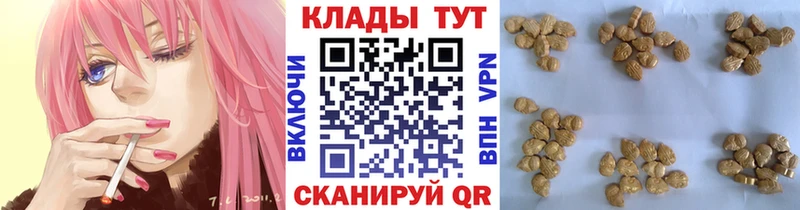 НБОМе Барабинск