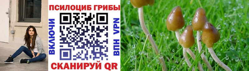 Псилоцибиновые грибы прущие грибы  Барабинск 
